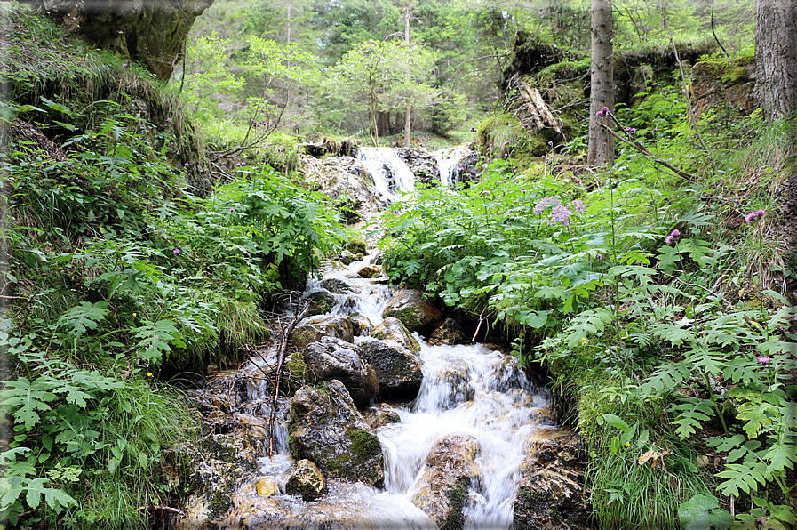 foto Cascate alte in Vallesinella